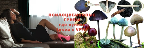 не бодяженный Алексин