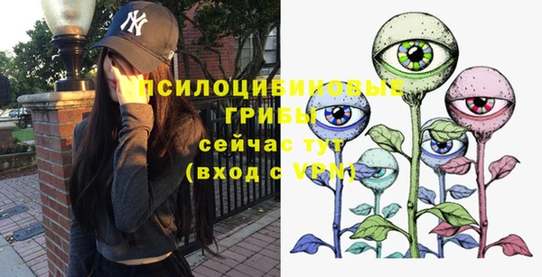 круглые Алексеевка