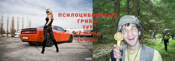 круглые Алексеевка