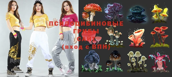 прущие крисы Абаза
